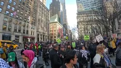 Salma elsayed__youtube